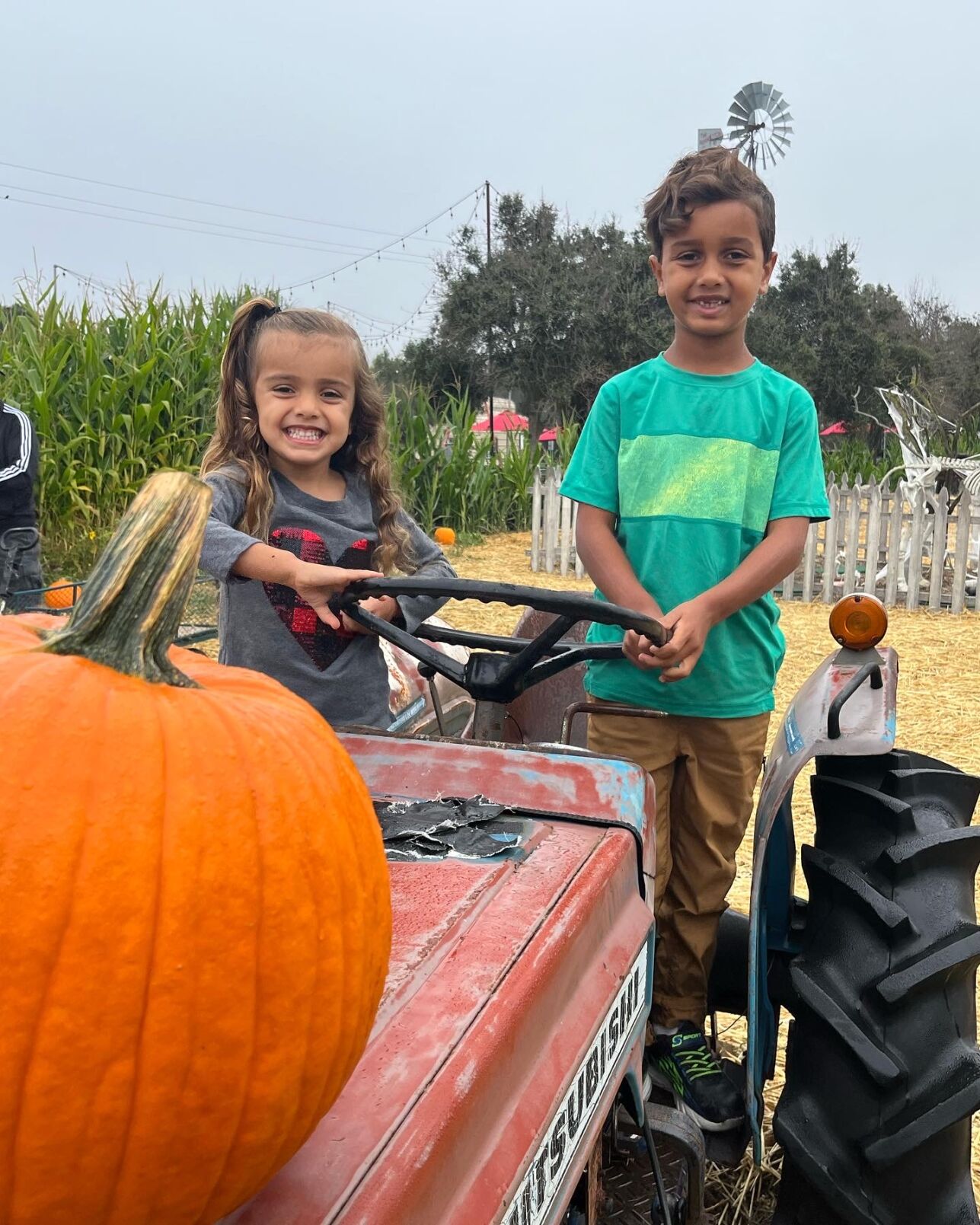 Picking Pumpkins 2022